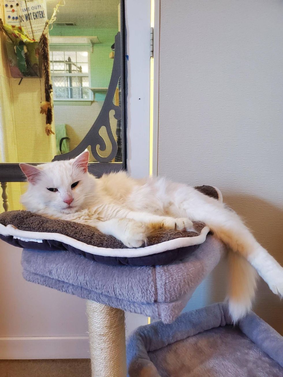 Peaches