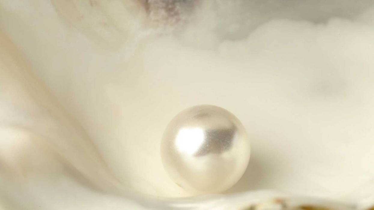 Pearl in a shell