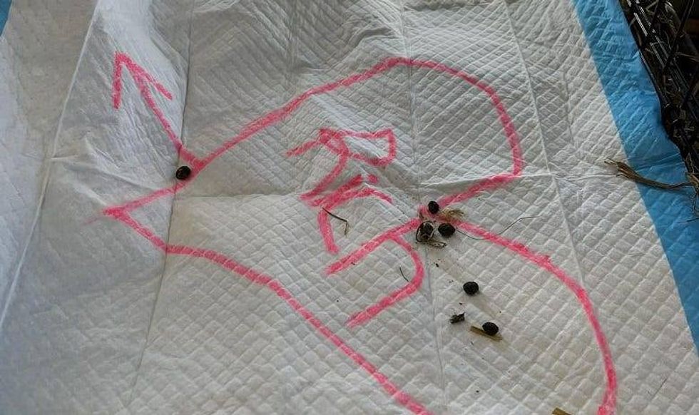 Pee pad with heart/name