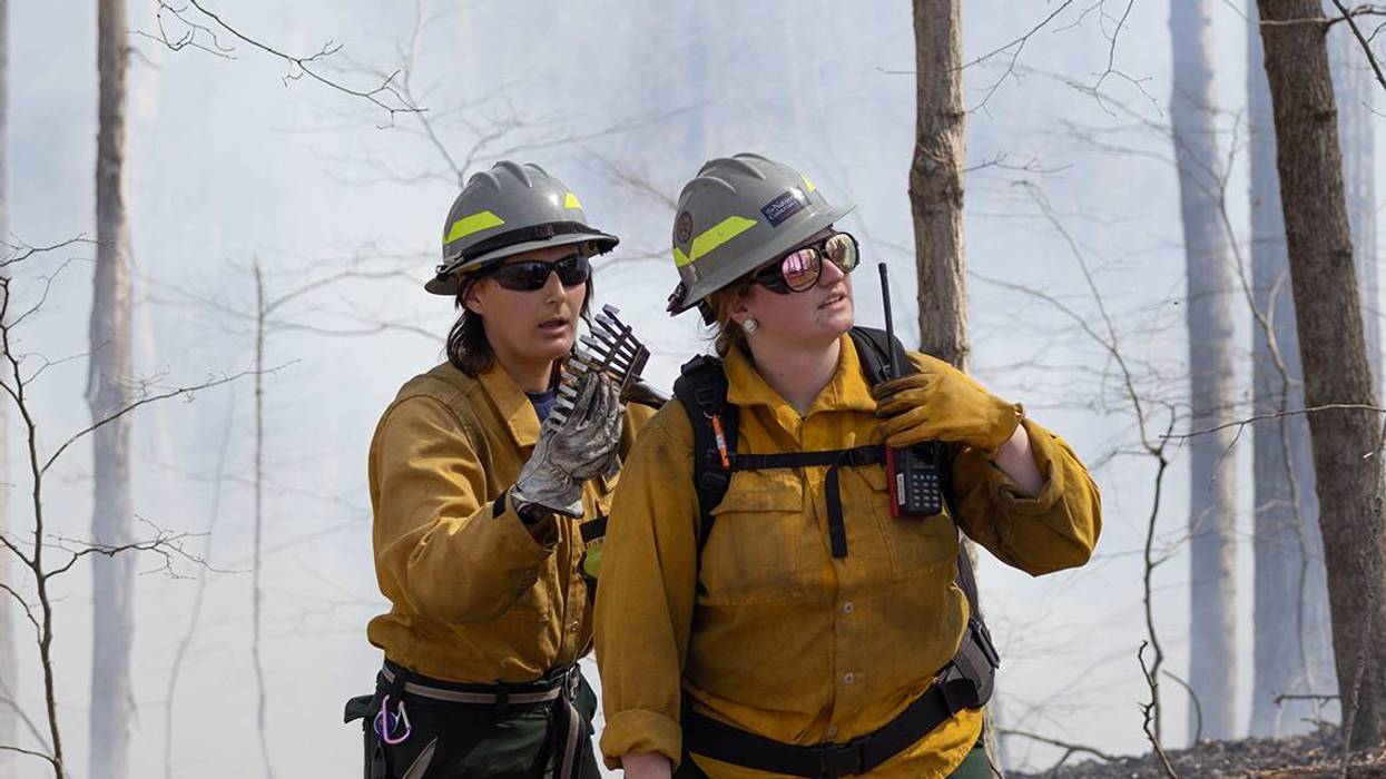 AROUND ILLINOIS: 25 years ablaze: SIU’s ‘Fire Dawgs’ inspires land management careers