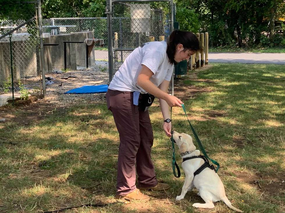 Penn Vet Working Dog Center