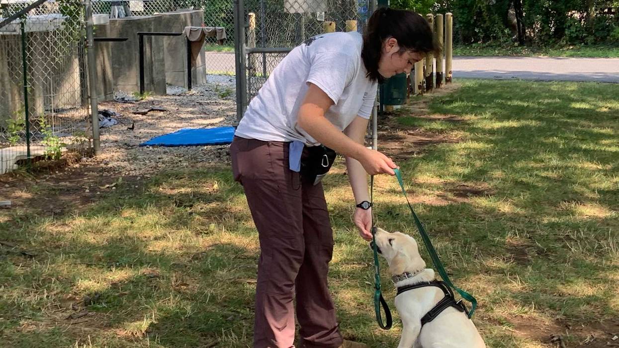 Penn Vet Working Dog Center