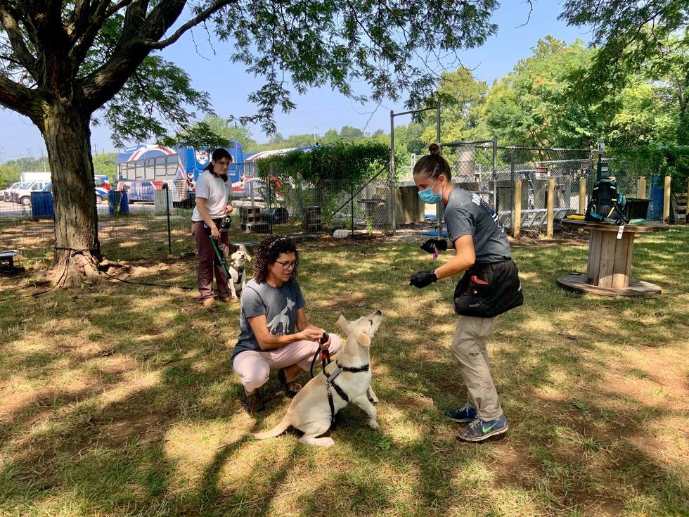 Penn Vet Working Dog Center