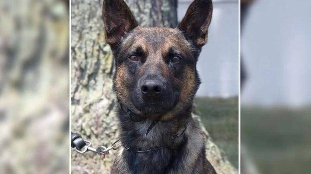 Pennsylvania residents on edge for nearly two weeks after a dangerous convicted murderer escaped from prison can now breathe a sigh of relief after a pointy-eared officer based in Detroit assisted in his capture.