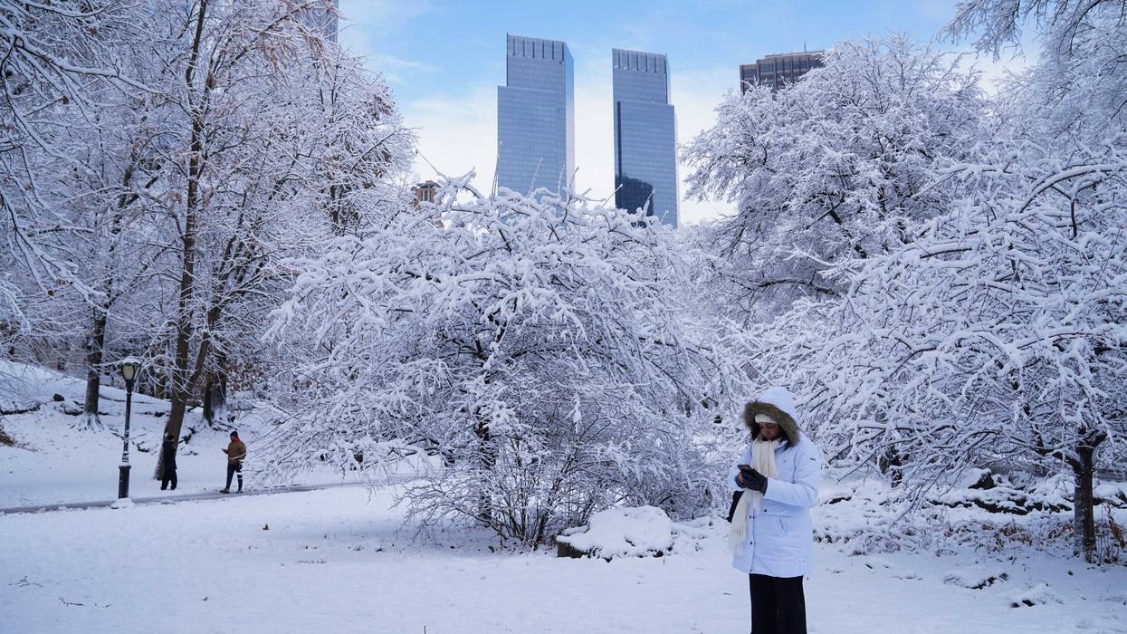People are seen enjoying the snow in Central Park on Dec. 14, 2025.