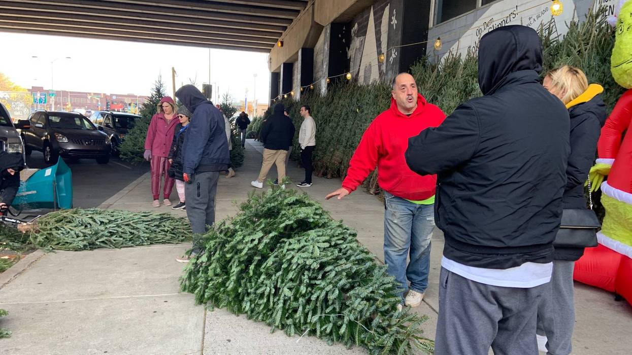 People buying Christmas trees