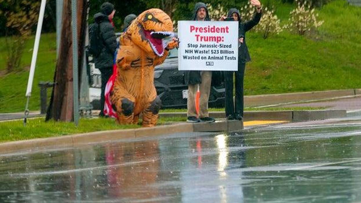 People for the Ethical Treatment of Animals (PETA) activists hold a sign that reads "President Trump: Stop Jurassic-Sized NIH Waste! $23 Billion Wasted on Animal Tests" as U.S. President Donald Trump's motorcade passes by them en route to Walter Reed National Military Medical Center on April 11, 2025 in Bethesda, Maryland. President Trump is going to undergo his first annual physical examination since retaking office at the Walter Reed National Military Medical Center. (Photo by Anna Moneymaker/Getty Images)