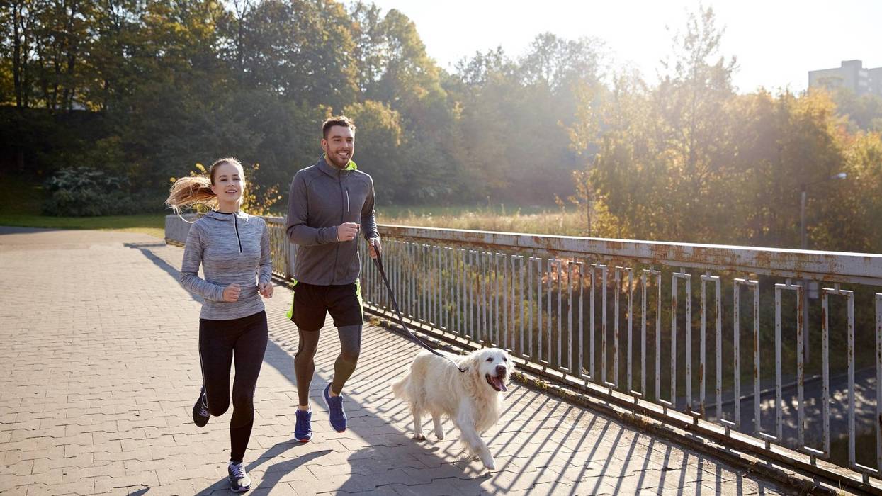 people Jogging With Their Dog