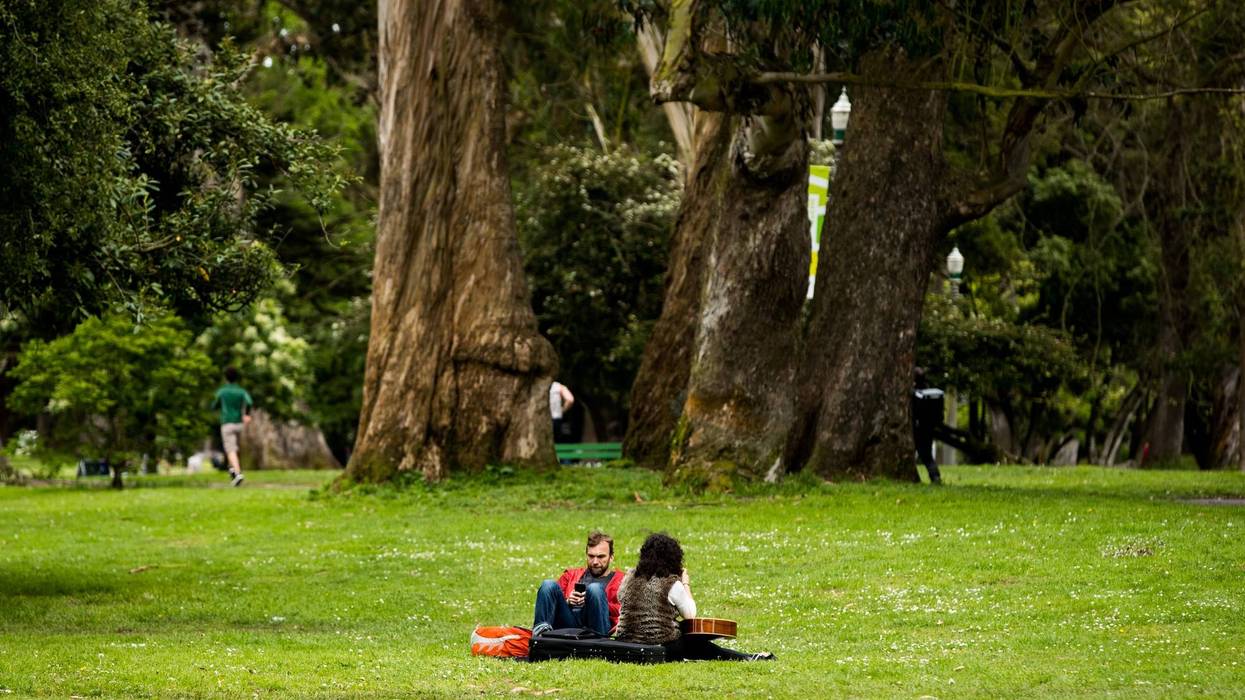 People sit on the grass in Panhandle Park during the coronavirus pandemic on May 02, 2020 in San Francisco, California.