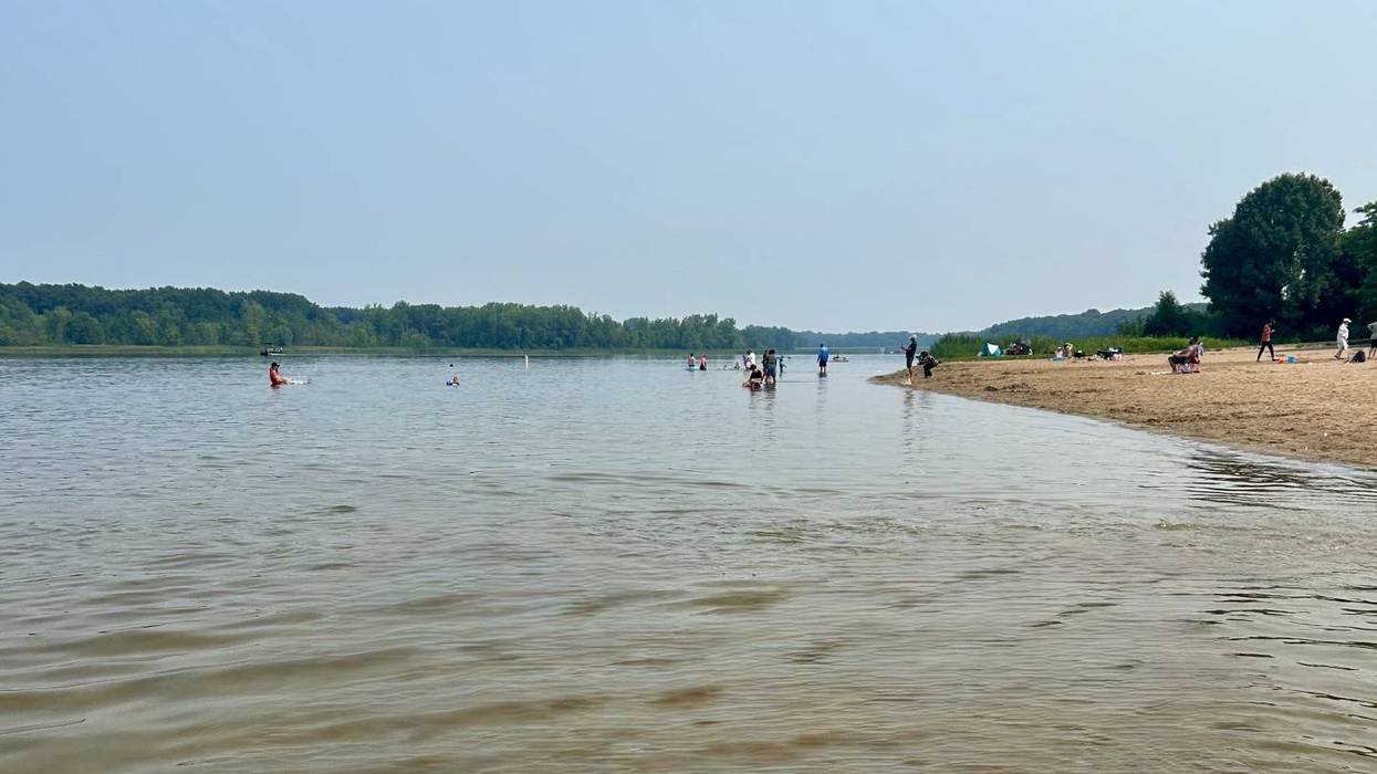 People swim and relax on a sandy lake beach with trees along the shore under a clear sky.