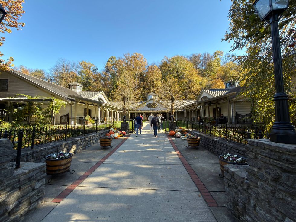 People walk along a wide path flanked by autumn trees and festive pumpkins at a scenic outdoor marketplace. The atmosphere is calm and inviting.
