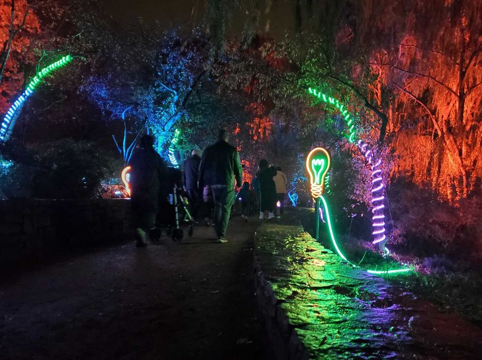 people walking through colored lights