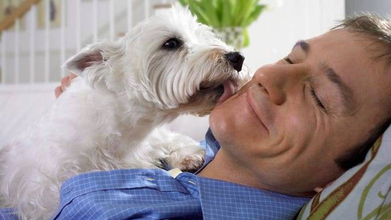 perro