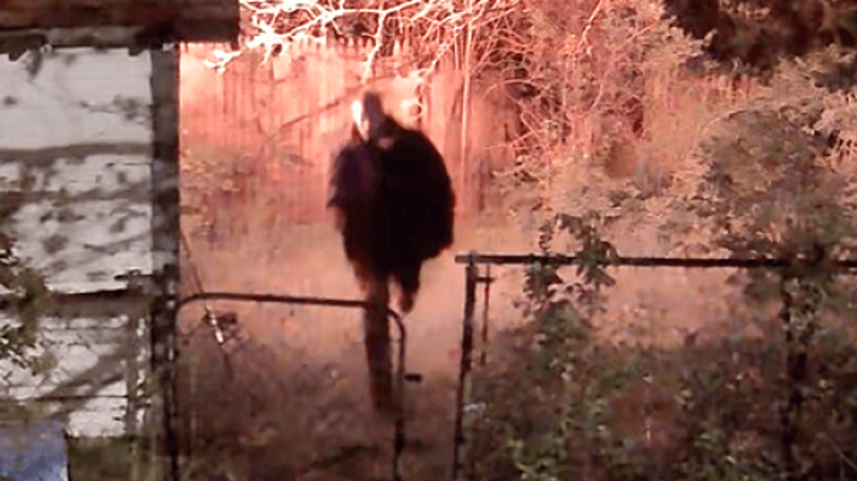 Tips wanted to ID Detroit arson suspect caught on camera