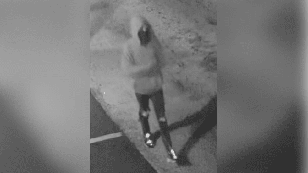 Person of interest in fatal shooting and carjacking of 65-year-old Mohammad Rahman.
