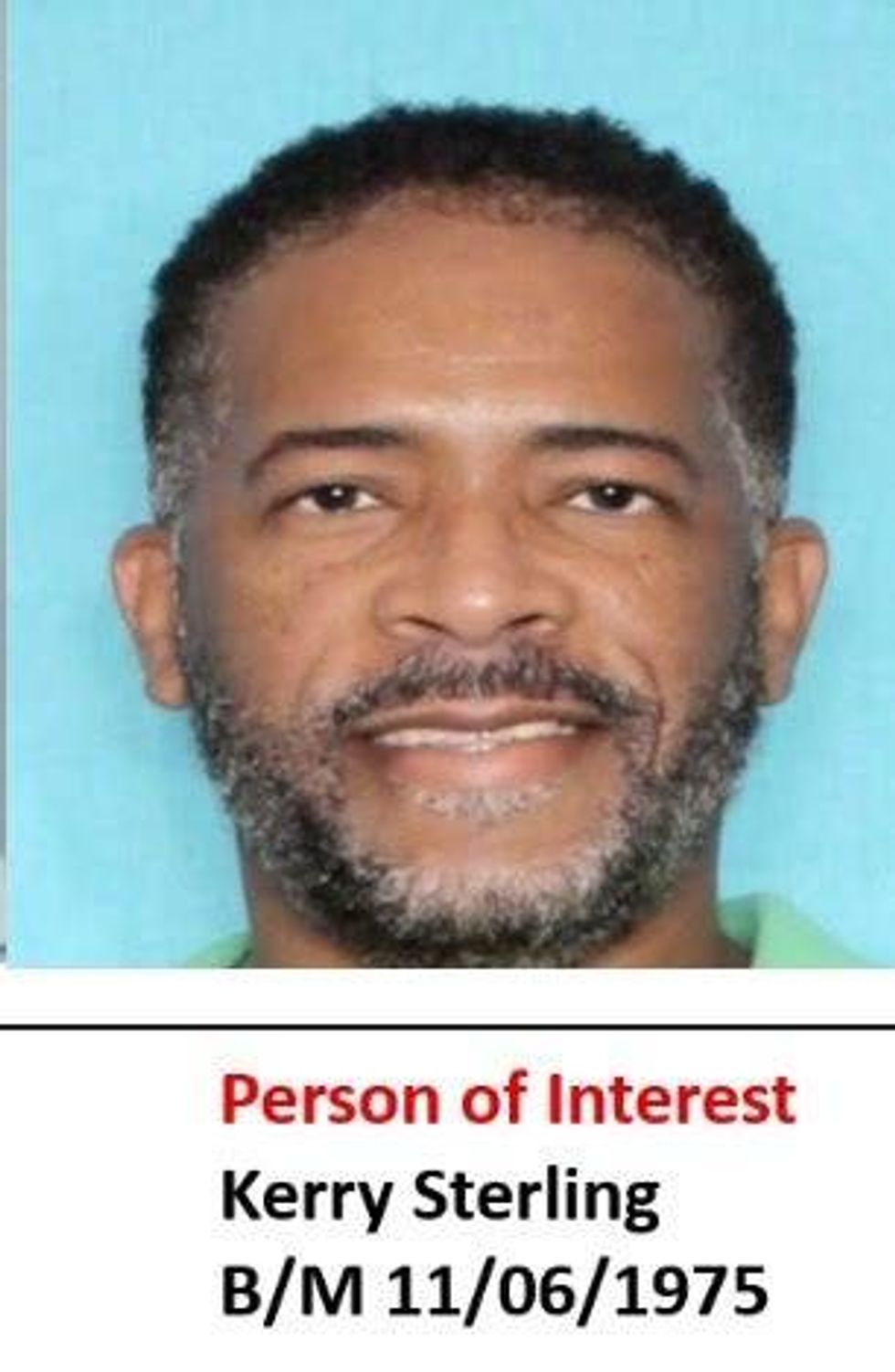 person of interest lee