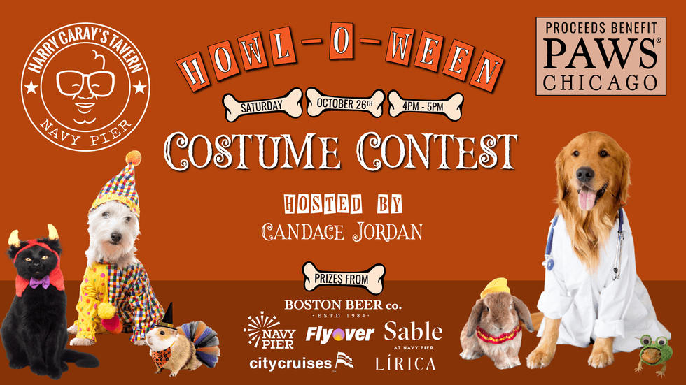pet costume contest