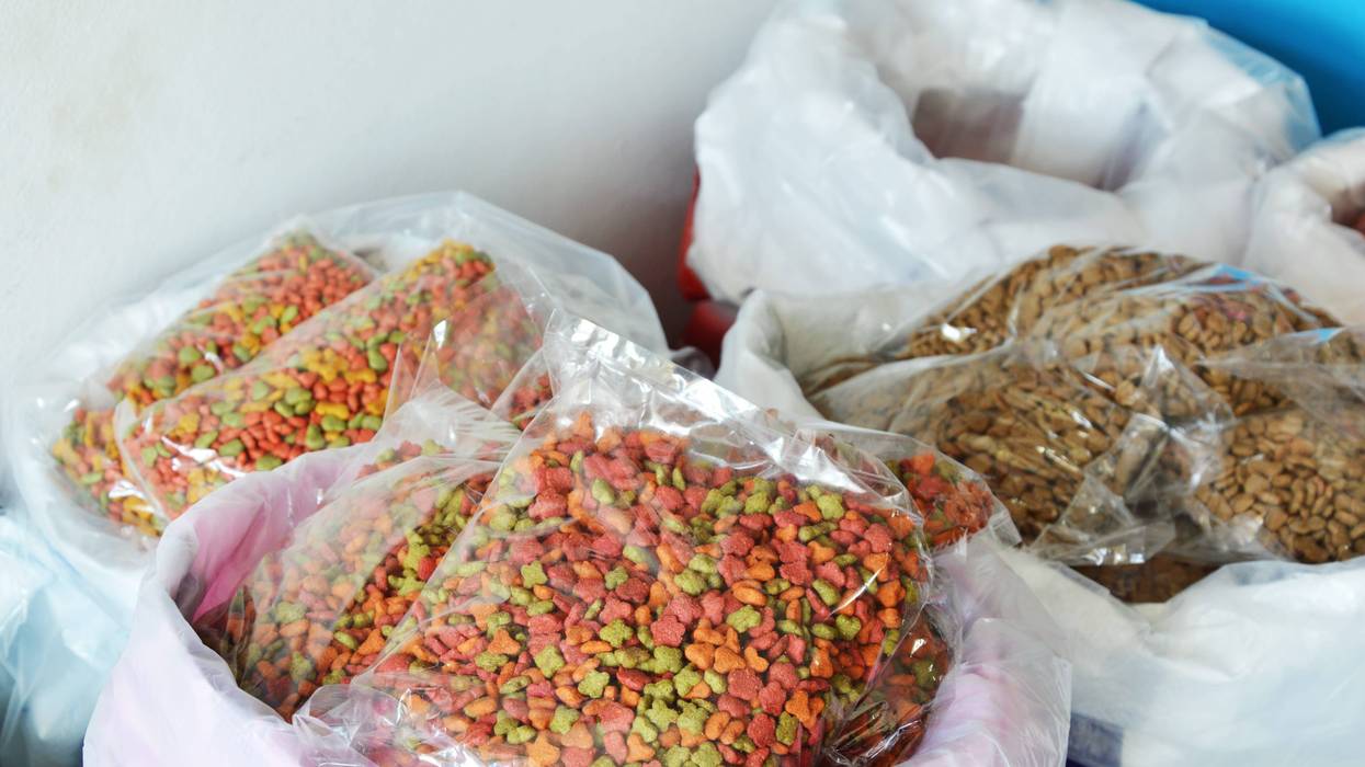 Pet Food