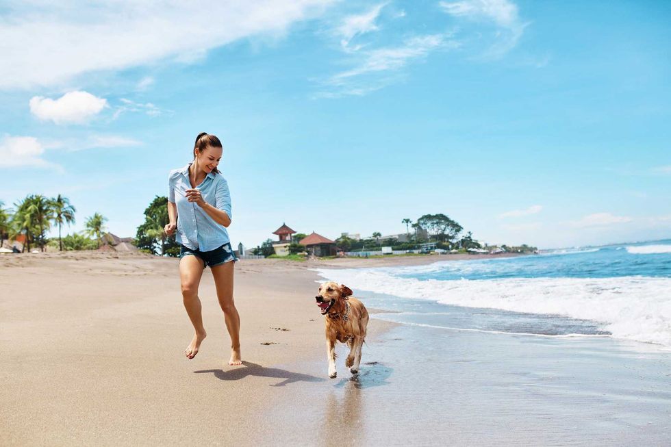 pet-friendly beaches