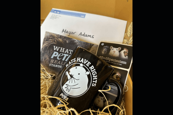 PETA sends Adams an empathy kit featuring a 'Rats Have Rights' mug