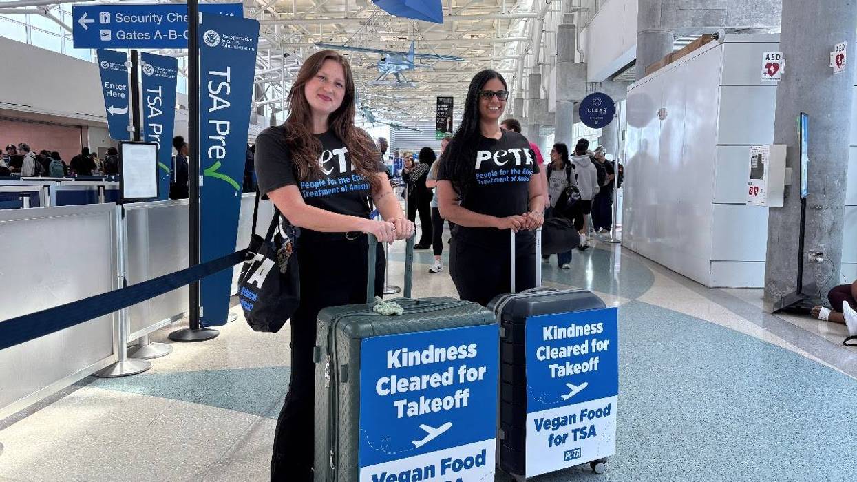 PETA to delivery free vegan food to TSA at PIT International