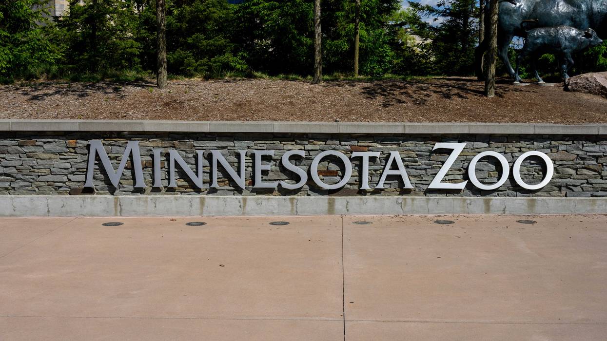 Peter Greenberg is the host of the CBS Radio show "Eye On Travel", and he brought a taping of the show to Apple Valley's Minnesota Zoo this week.