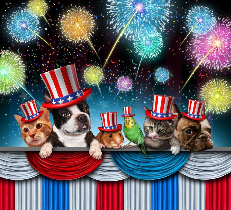 Pets and Fireworks