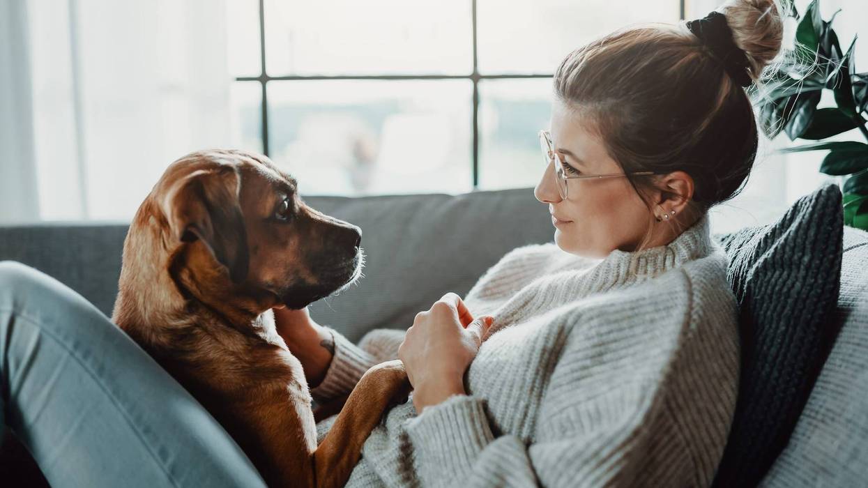 Pets and people