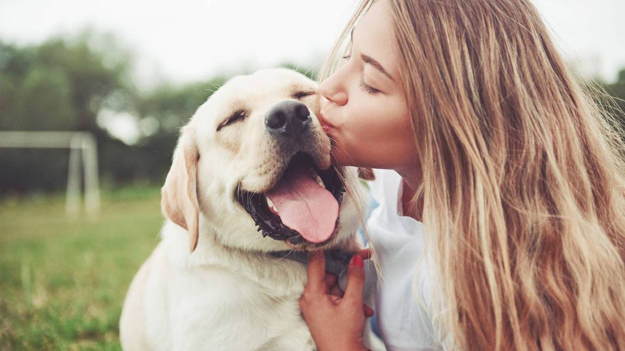 Pets