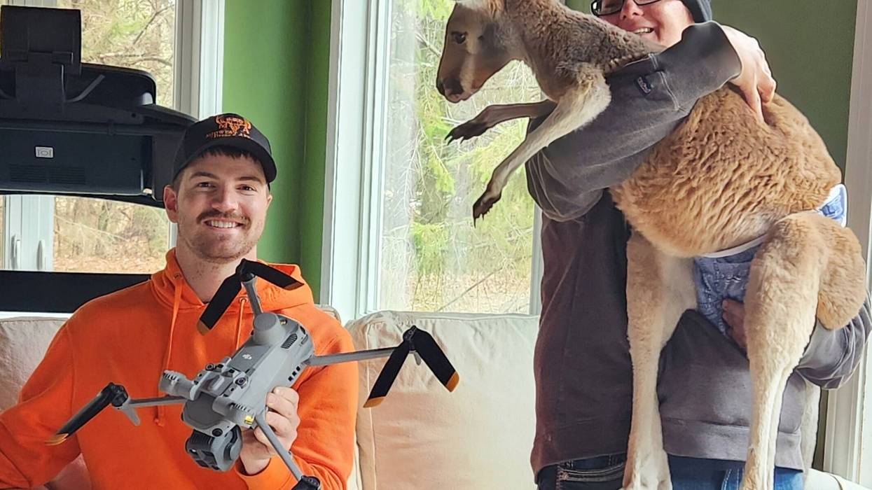 Petting Zoo Kangaroo