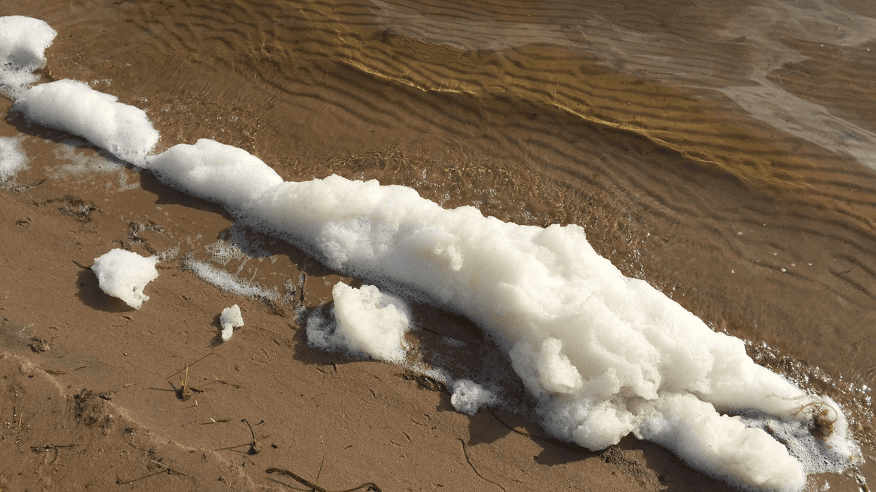 PFAS foam
