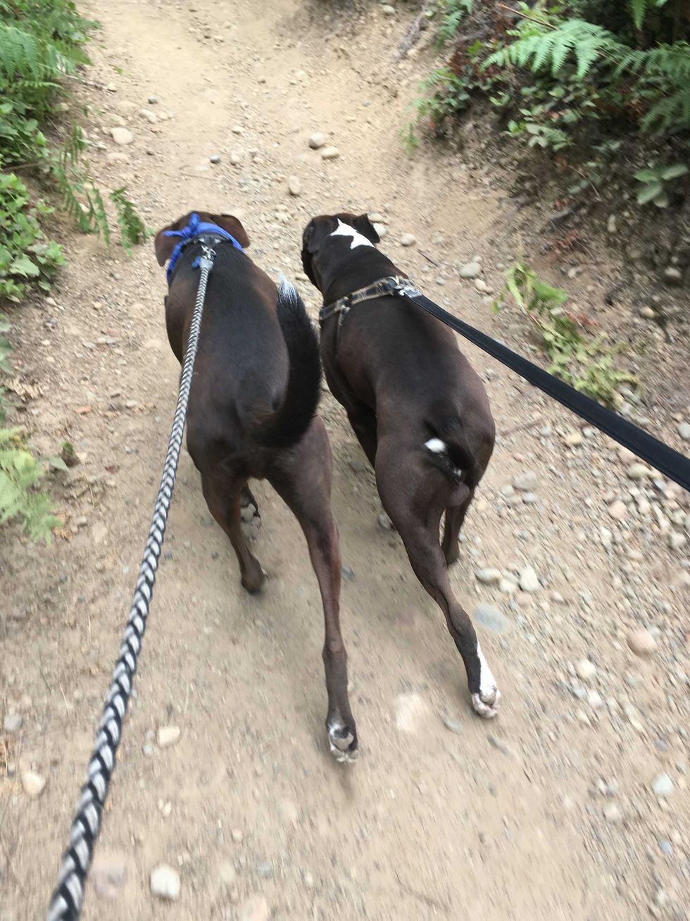 Phil and Hump