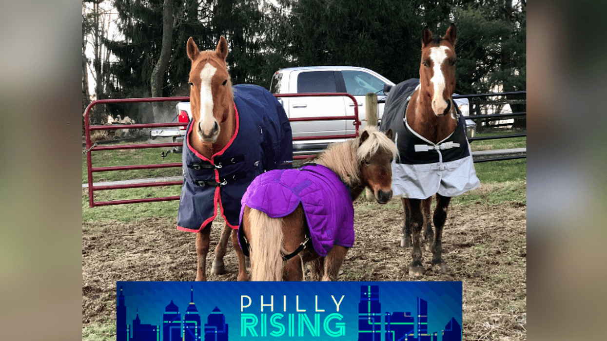 Philadelphia Urban Riding Academy based at the historic Fletcher Street Stables in Strawberry Mansion, Philadelphia