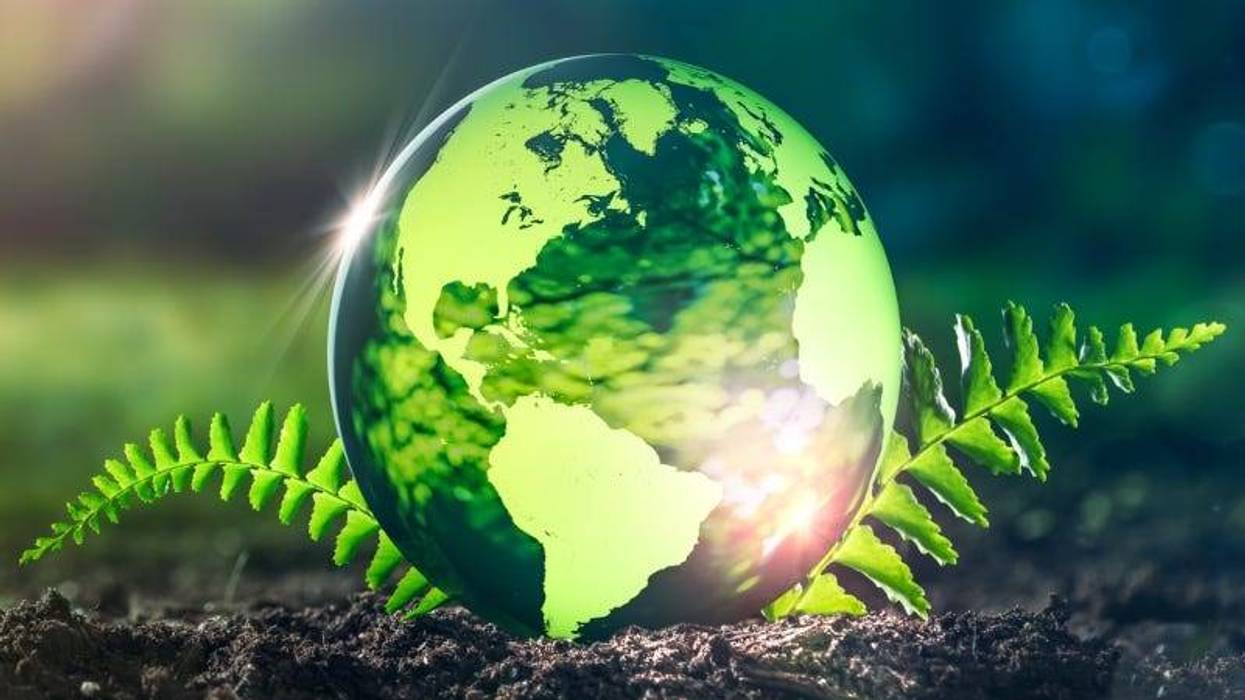 Philip Steury / Getty Images