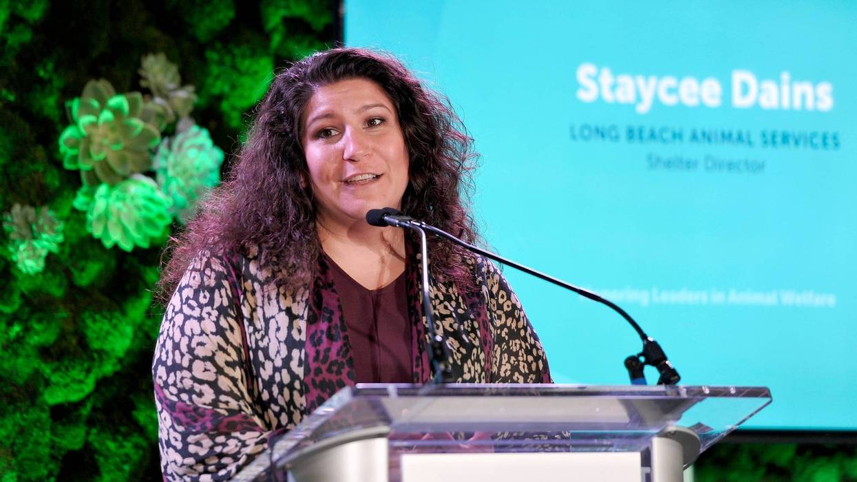 (Photo by John Sciulli/Getty Images for Alevtina Michelson )