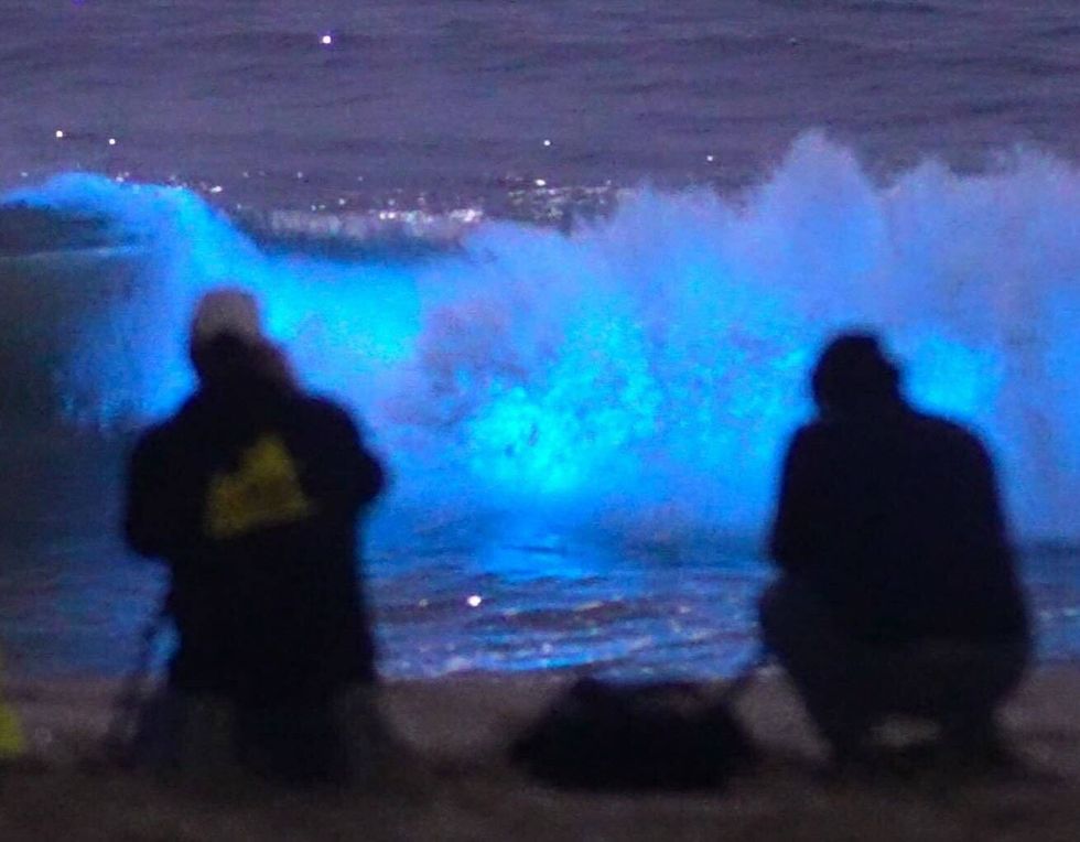 Photographer and videographer Patrick Coyne has been on a mission to capture the footage of stunning bioluminescent waves showing up along the California coast.