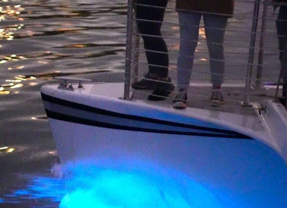 Photographer and videographer Patrick Coyne has been on a mission to capture the footage of stunning bioluminescent waves showing up along the California coast.