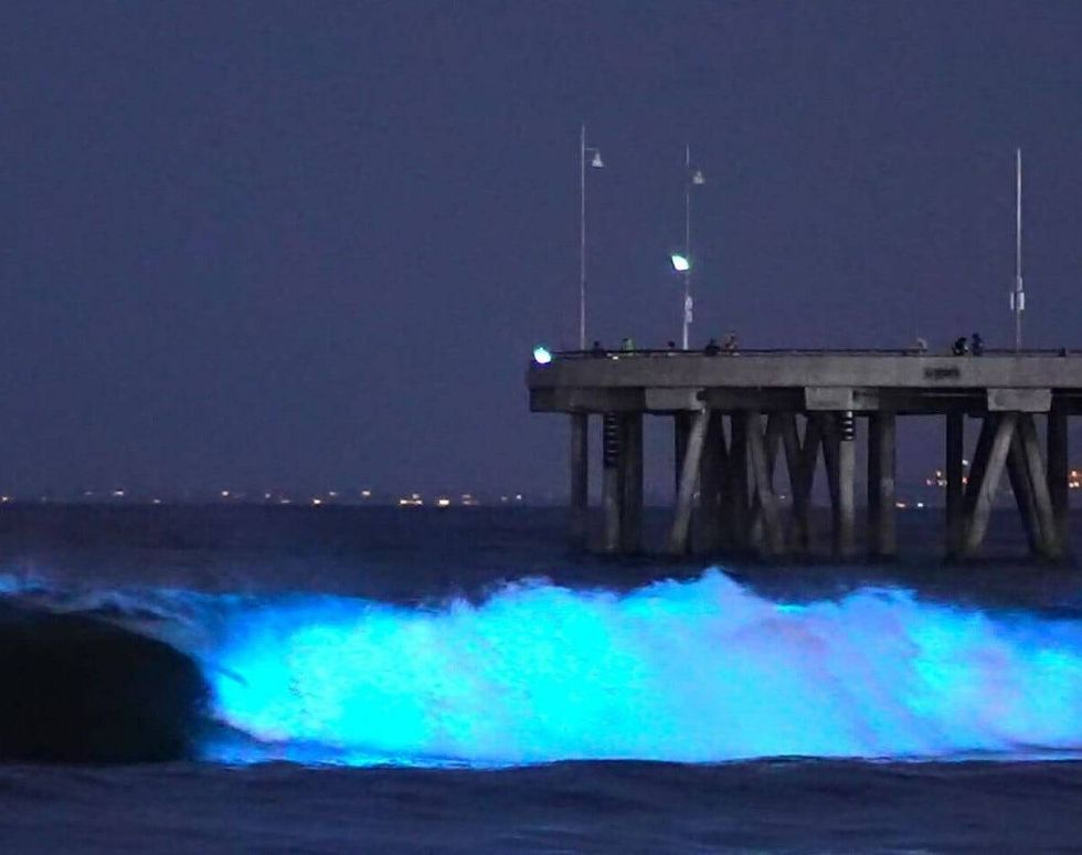 Photographer and videographer Patrick Coyne has been on a mission to capture the footage of stunning bioluminescent waves showing up along the California coast.