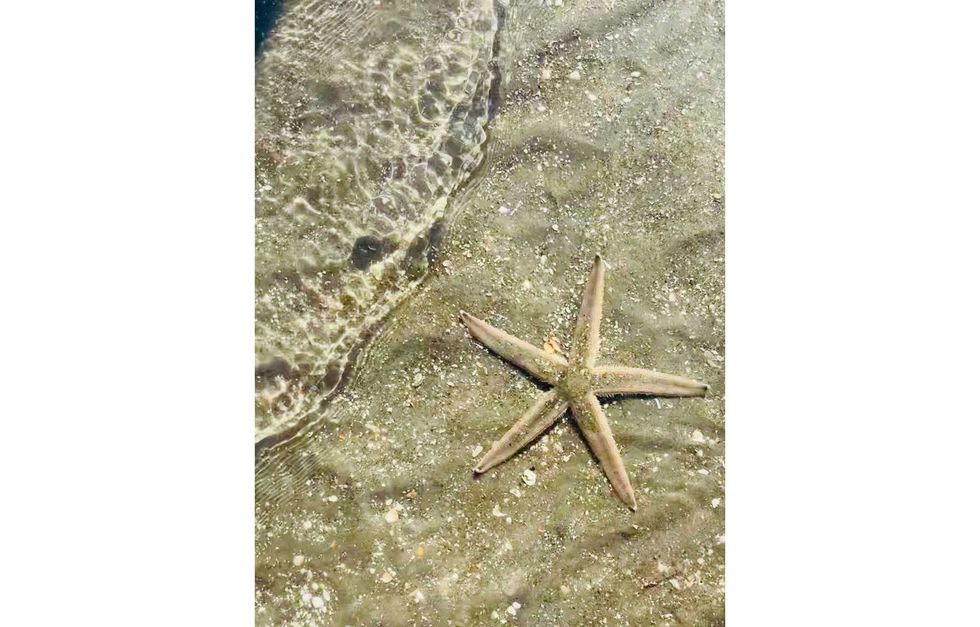 PHOTOS: Toohey\u2019s Carolina Family Vacation 2021