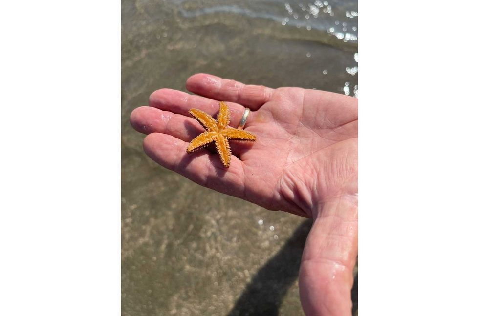 PHOTOS: Toohey\u2019s Carolina Family Vacation 2021
