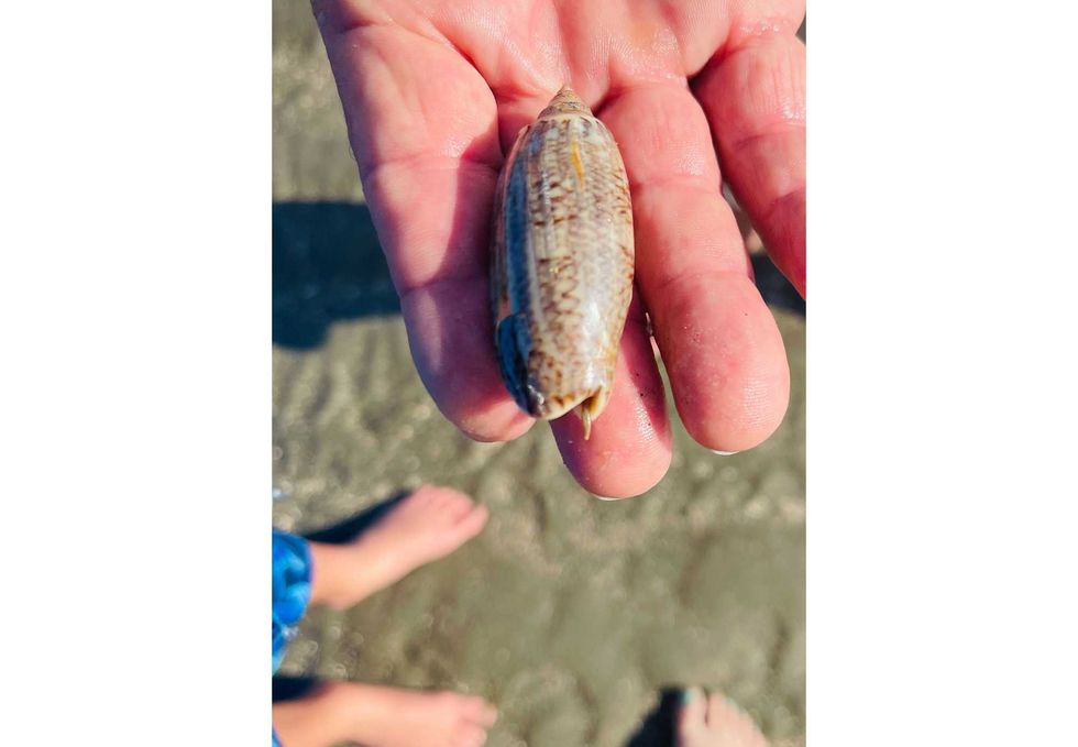 PHOTOS: Toohey\u2019s Carolina Family Vacation 2021