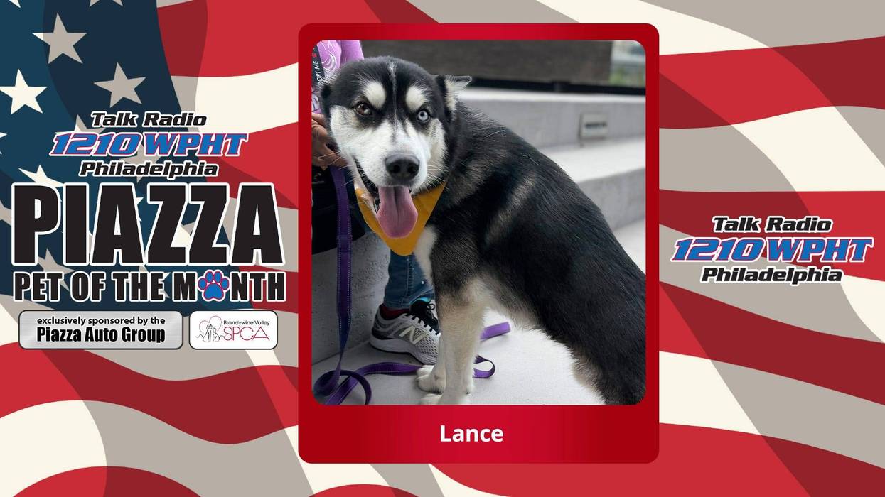 Piazza Pet of the Month/WPHT