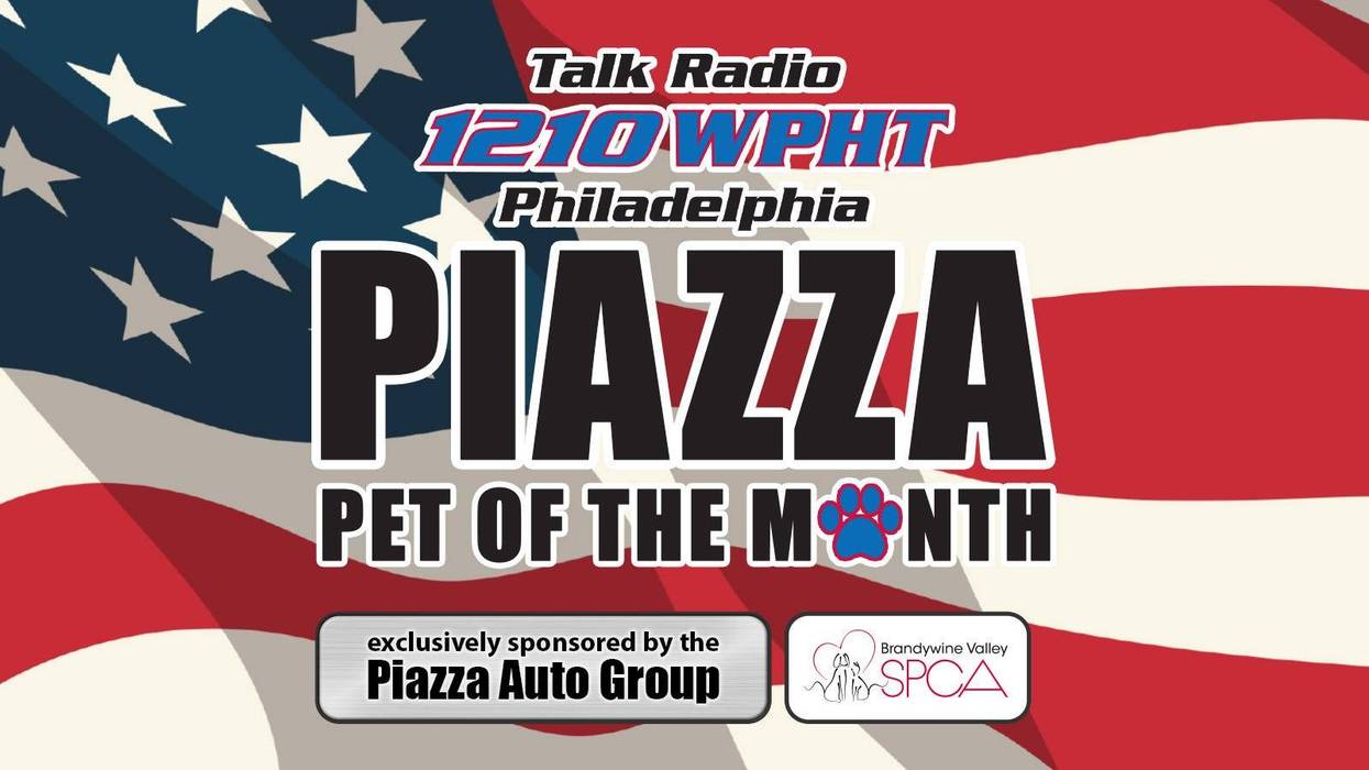 Piazza Pet of the Month