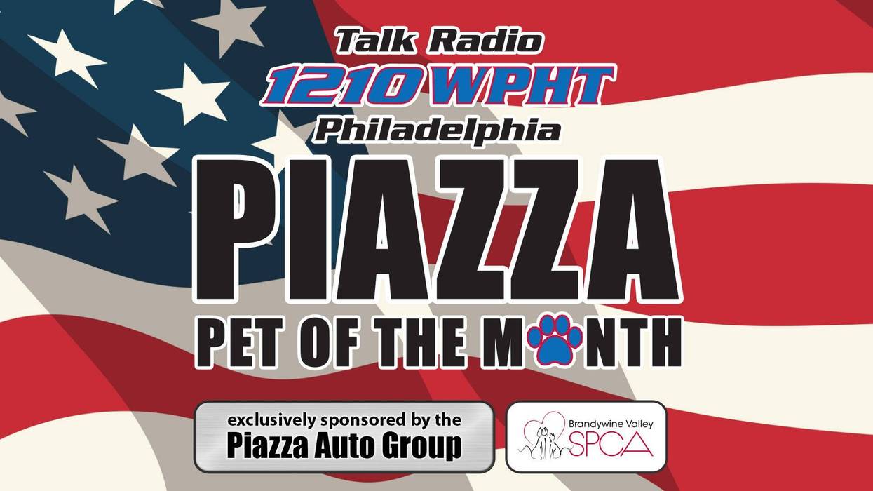 Piazza Pet of the Month