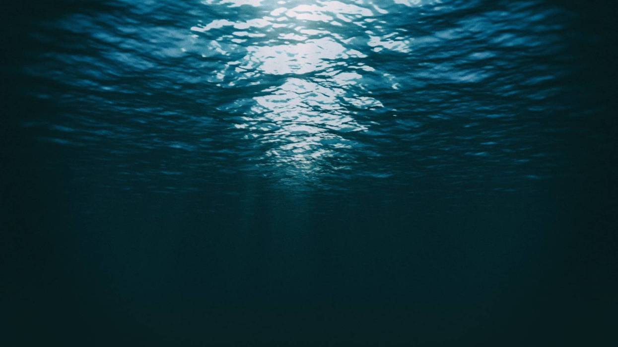 Picture of Ocean