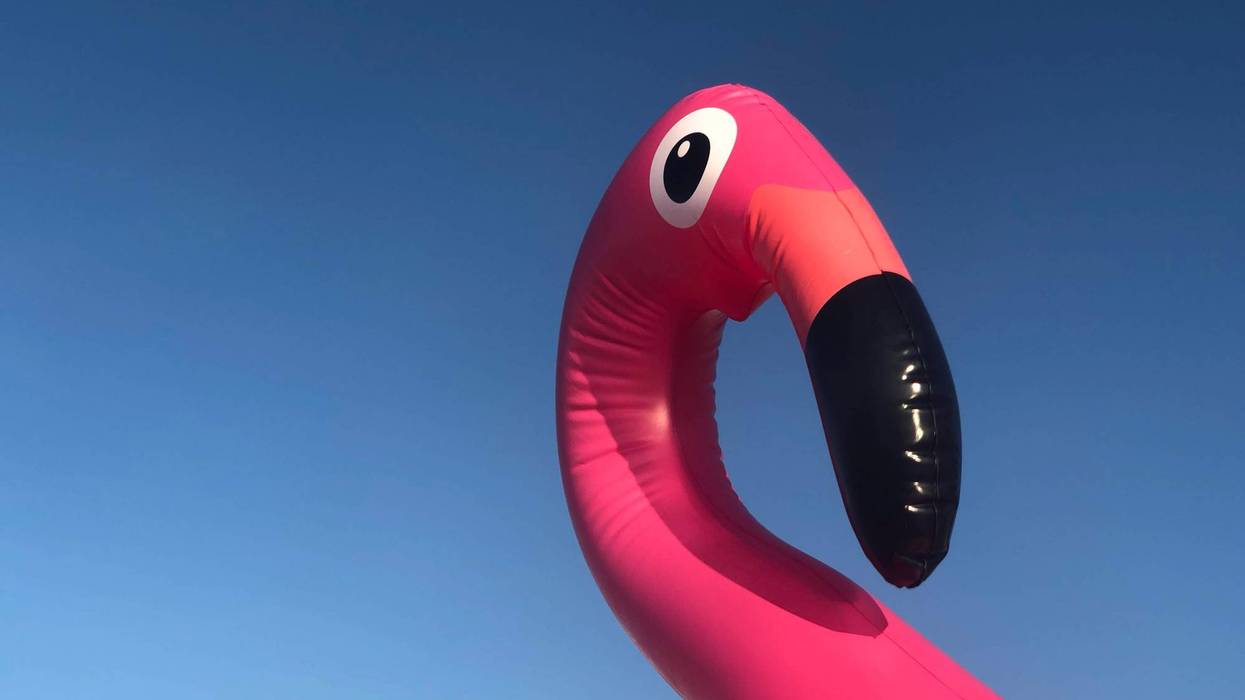 Pink Flamingo Floatie