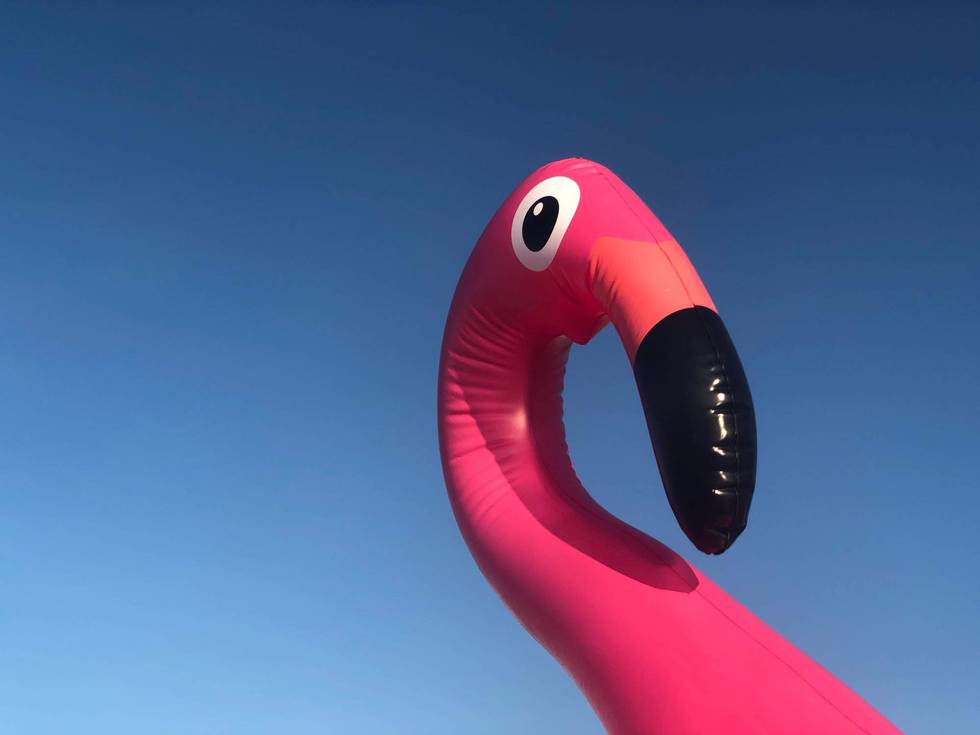 Pink Flamingo Floatie