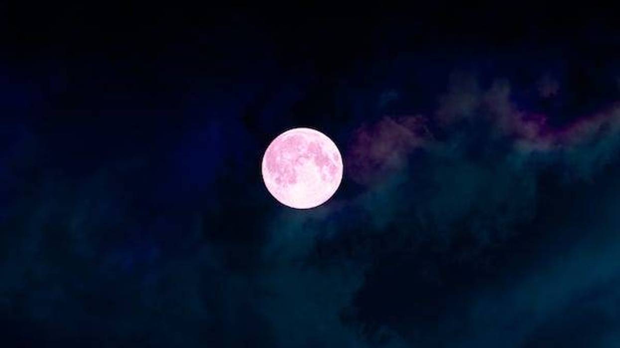 Pink moon in the night sky