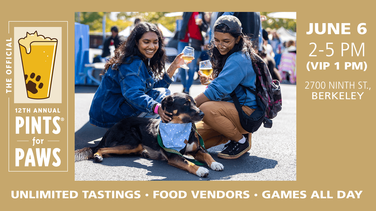 Pints for Paws 2026