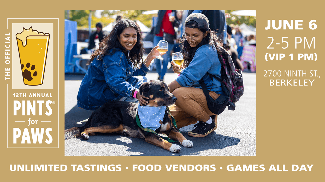 Pints for Paws 2026